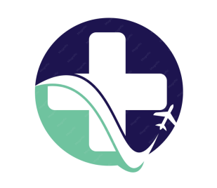foreign travel icon